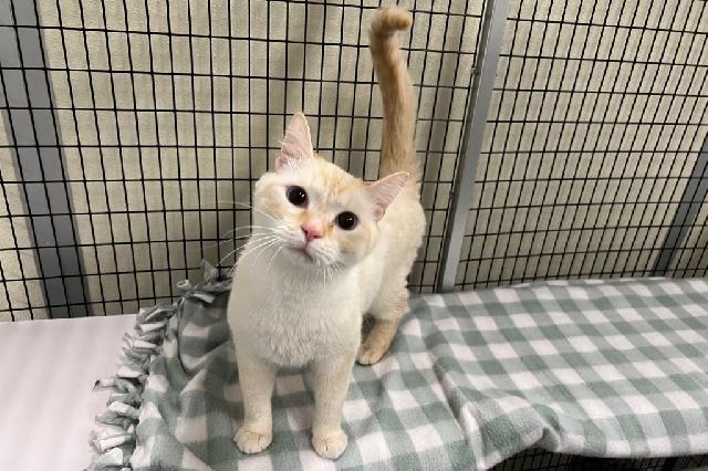 My name is Banana Slug and I am ready for adoption. Learn more about me!