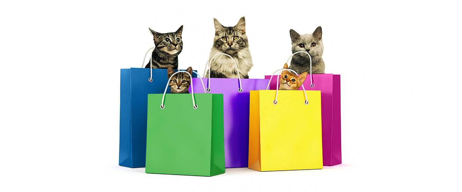 Cat shopping. Кошка шоппинг. Кошки шоппинг арт. Cat in the Bag. Три кошки на шопинге.