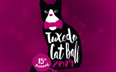 Sneak a Peek at the Latest Tuxedo Cat Ball Items