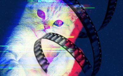 CatVideoFest2019 at Marbles IMAX