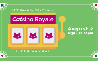 Roll the Dice & Get Lucky at Catsino Royale!