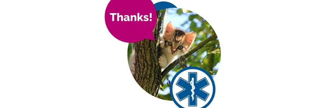 Cat Stuck in Tree Saying Thanks