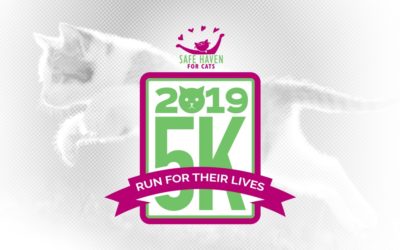 Save $5 on 5K Registration