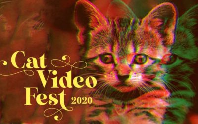 70 Minutes of Cat Videos for Good!