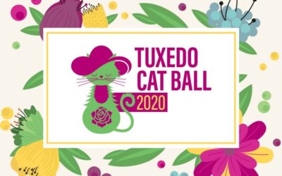 Tuxedo Cat Ball Goes Online!