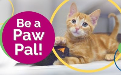 Be a Paw Pal