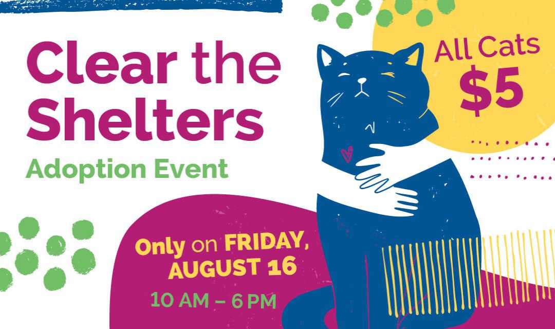 What to Expect at Clear the Shelters
