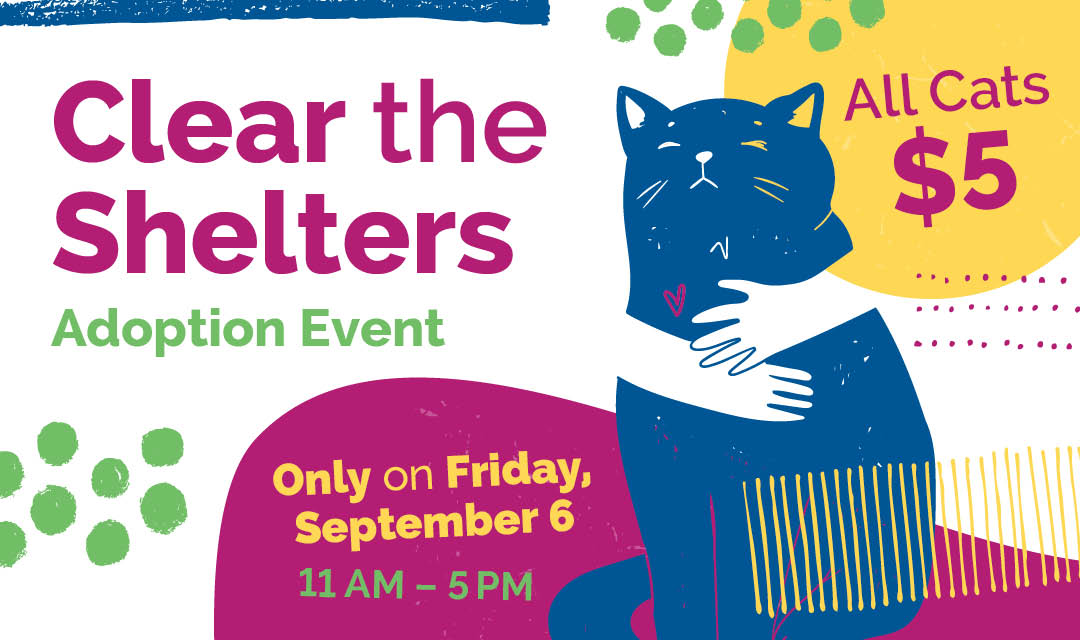 What to Expect at Our Clear the Shelter Crescendo Event