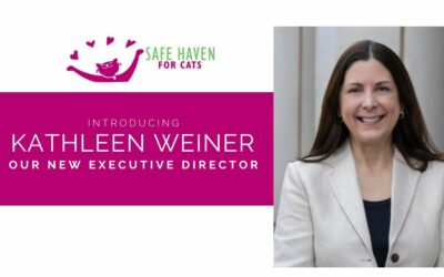 Join us in welcoming our new executive director!