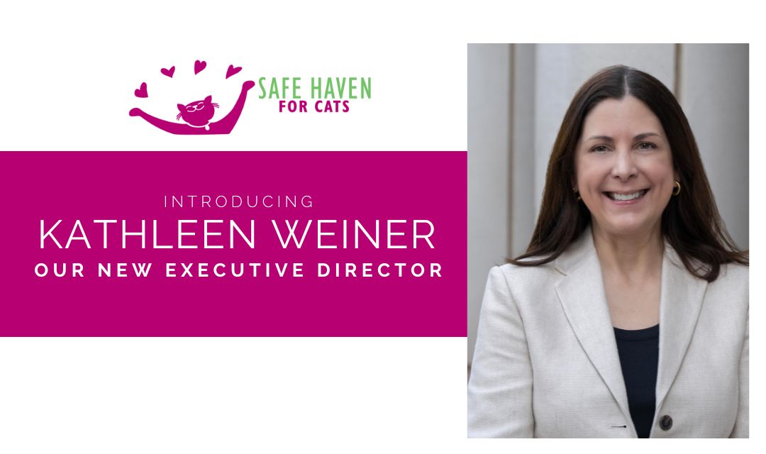 Join us in welcoming our new executive director!