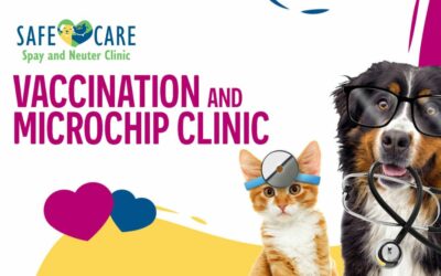 October Vaccination & Microchip Clinic